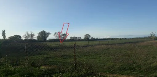 Lezhe, Shitet Tokë Arë 12,262 m2, Cmimi Fillestar 13.199.594 Leke (Tale 2)