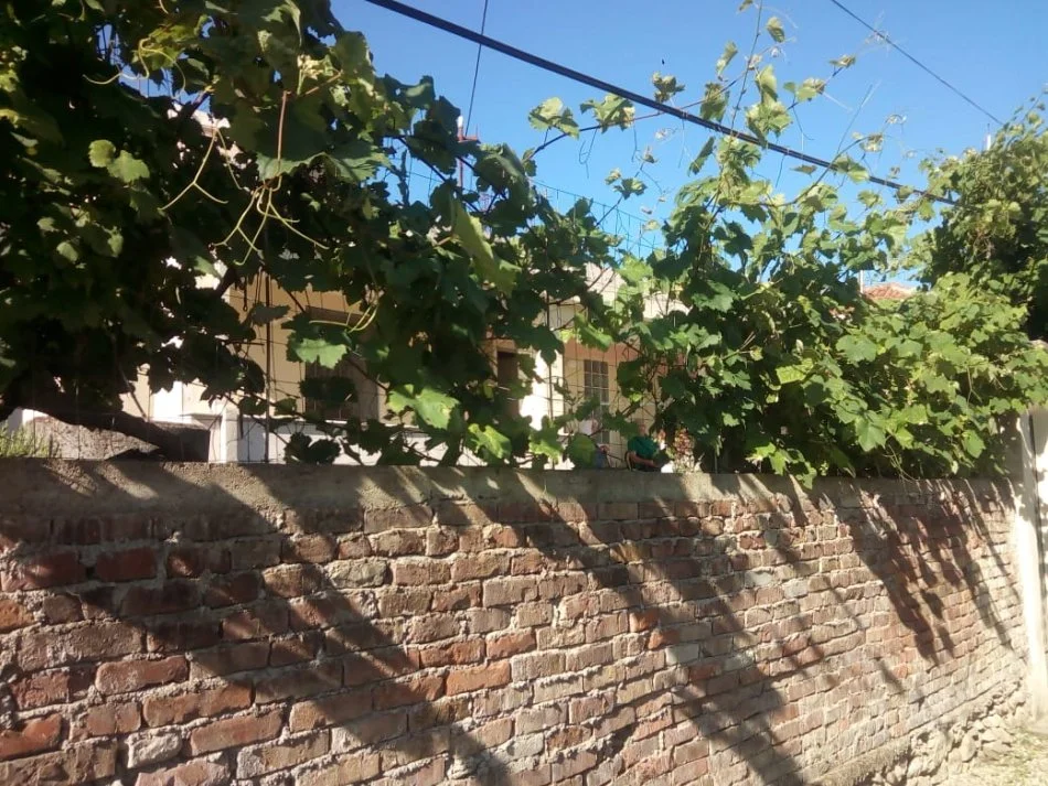 Tirane, shitet shtepi 3+1+Aneks+Ballkon Kati 0, 150.000 € (Zyber Zeneli)