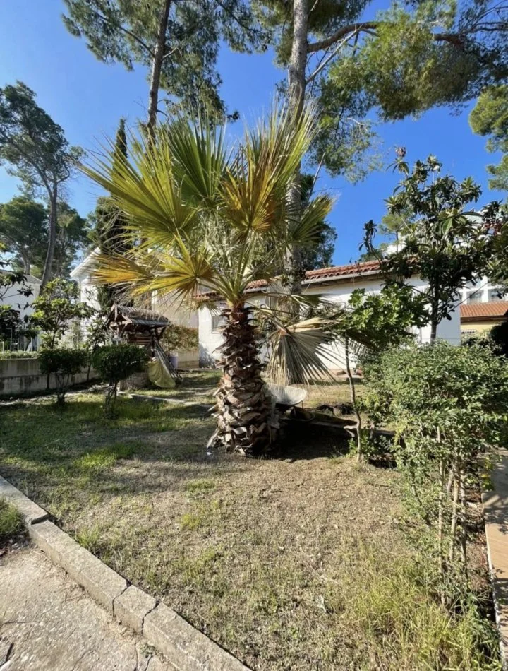 Durres, shes Vile 1 Katshe Kati 1, 800 m² (SHITET VILA 1 katshe Vij e 3-te DETIT Adresa: Golem)