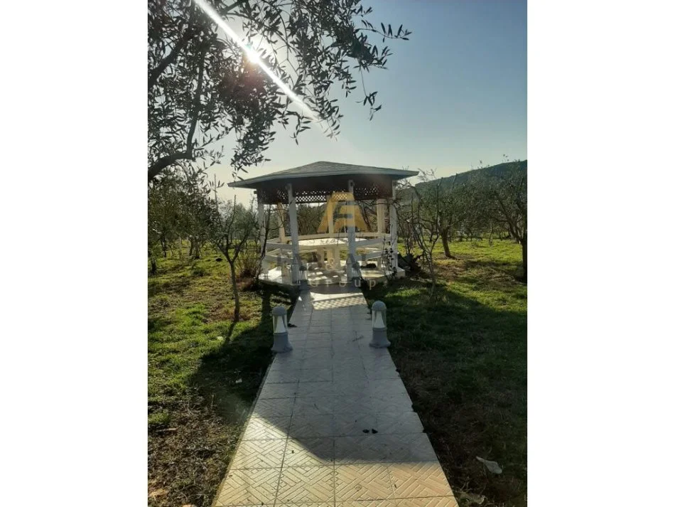 Tirane, shitet ferme+shtepi druri e investuar , 14.500 m² 870.000 € (GURRE E MADHE)