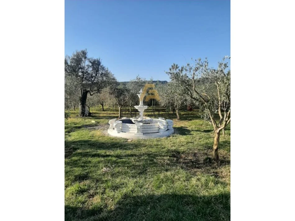 Tirane, shitet ferme+shtepi druri e investuar , 14.500 m² 870.000 € (GURRE E MADHE)