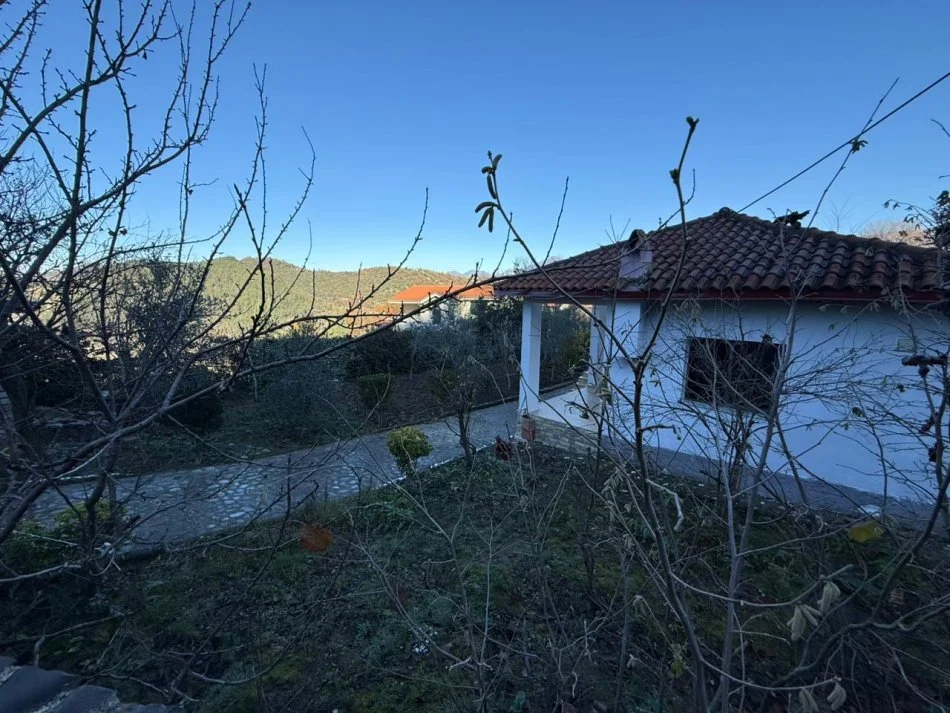 Tirane, shes shtepi 4+1+Aneks Kati 0, 365 m² 200.000 € (Shitet Shtëpi Private – Petrelë, Tiranë)