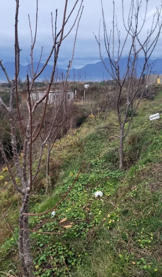 Tirane, shitet , 10.000 m² 