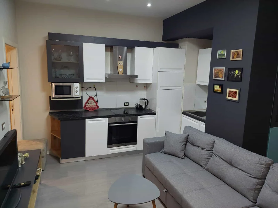 Tirane, jepet me qera apartament 1+1 Kati 2, 60 m² 630 € (Rruga e Elbasanit)