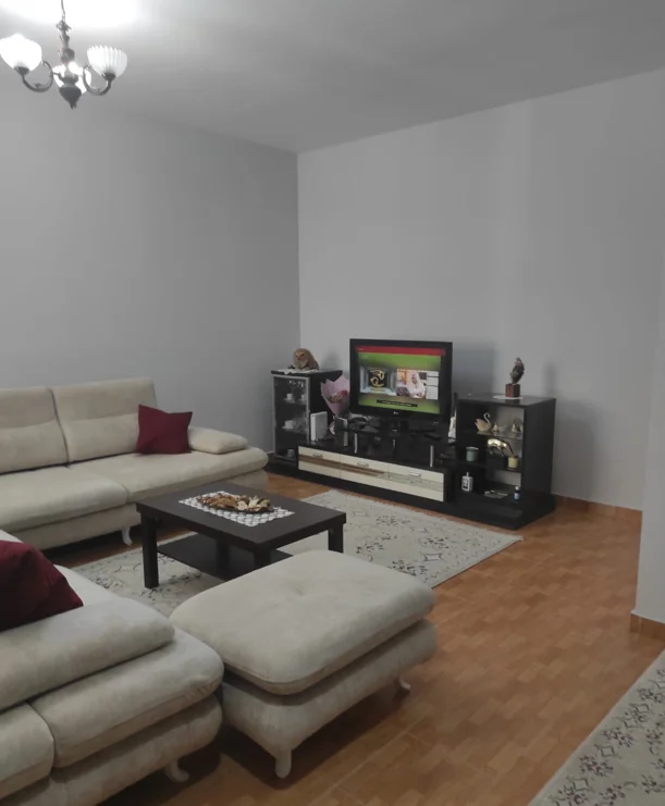 Tirane, jepet me qera apartament 1+1+Ballkon, 450 euro (Yzberisht)