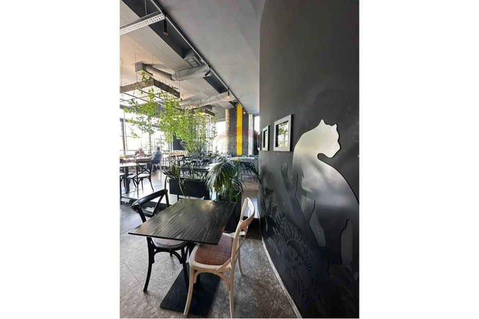 jepet me qera , 330 m² 4.000 € (Rruga e Kavajes Perball Delijorgjit)