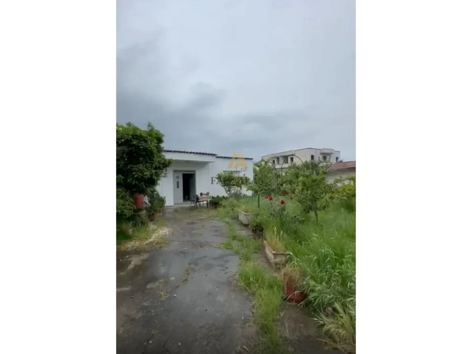 Tirane, shitet 1 Katshe , 183 m² 220.000 € (Institut Kamez)