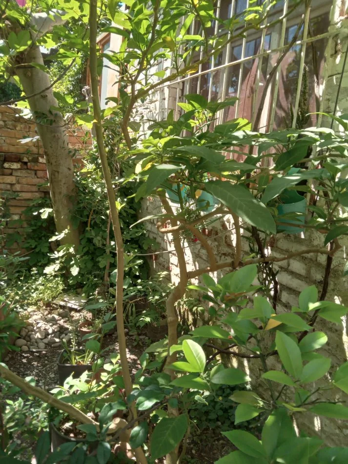 Durres, shitet 1+1+Aneks Kati 0, 98.000 € (Mujo Ulqinaku Durres)