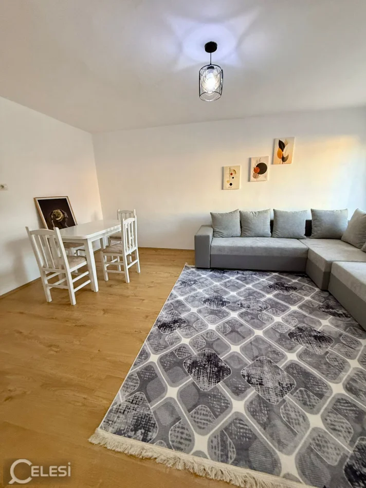 Tirane, jepet me qera apartament 1+1 Kati 2, 56 m² 500 € (Xhamlliku / Rruga Bardhyl)