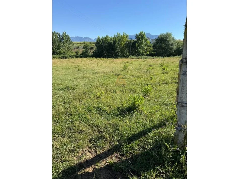 Tirane, shitet toke , 1.000 m² 30.000 € (Cerkeze, Zall Herr)