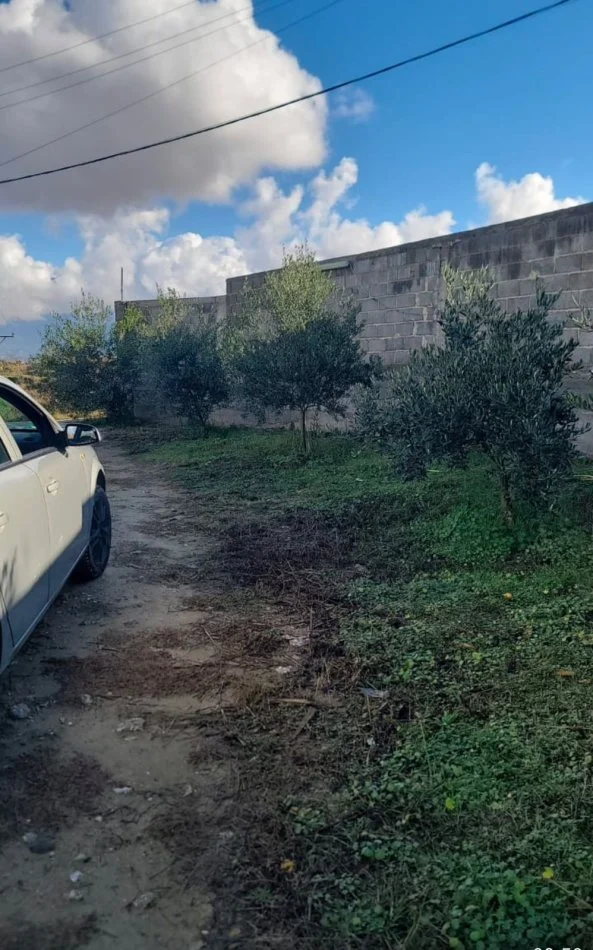 Tirane, shitet , 10.000 m² 