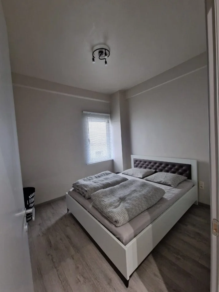 Tirane, jepet me qera apartament 1+1 Kati 3, 60 m² 650 € (Kopshti Zoologjik)