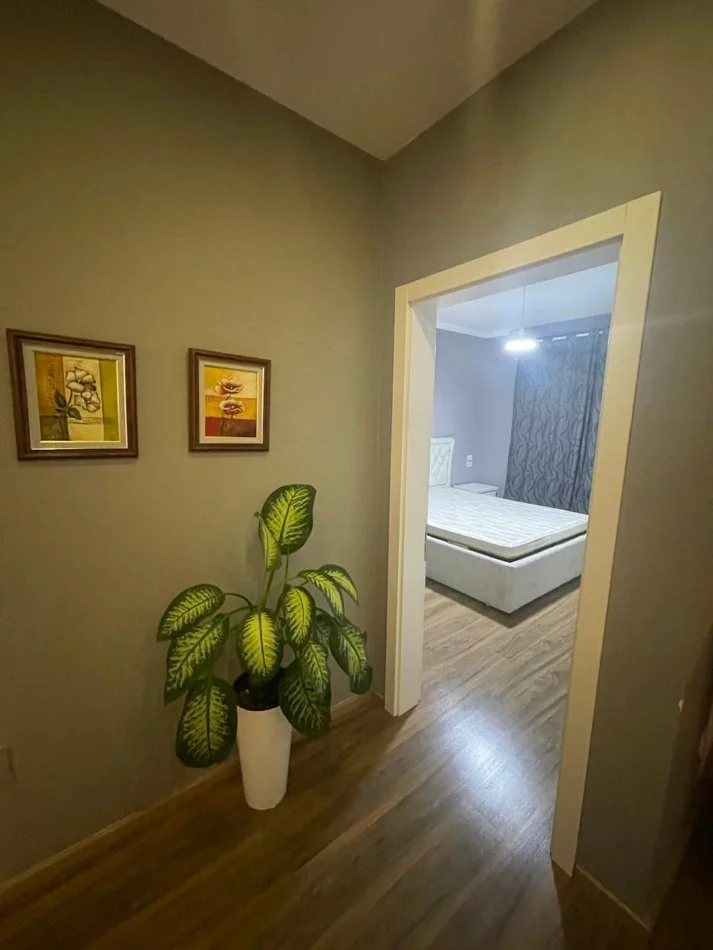 Tirane, jap me qera apartament 1+1 Kati 10, 650 € (rr. Tish Daija)