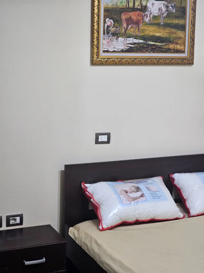 Tirane, jepet me qera apartament 1+1 Kati 4, 55 m² 500 € (Sheshi Wilson)