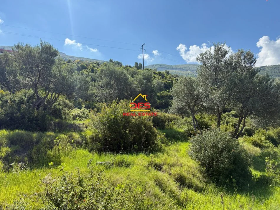 Vlore, shitet toke , 1.200 m² 270.000 € (Rruga Dhimitër Konomi)