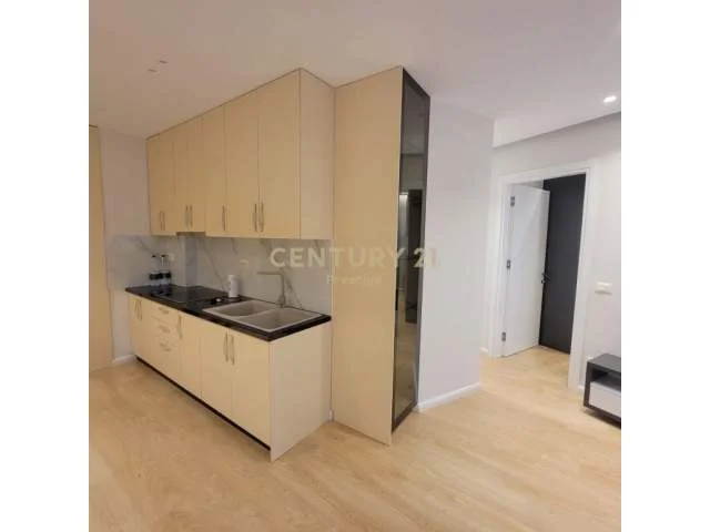 Tirane, jepet me qera apartament 1+1+BLK 60 m² 400 Euro (fresku)