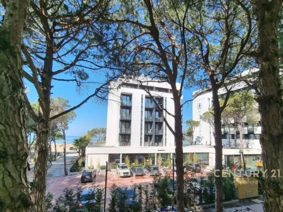 SHITET EKSKLUZIVE STUDIO ME PAMJE BALLORE NE DET, GOLEM