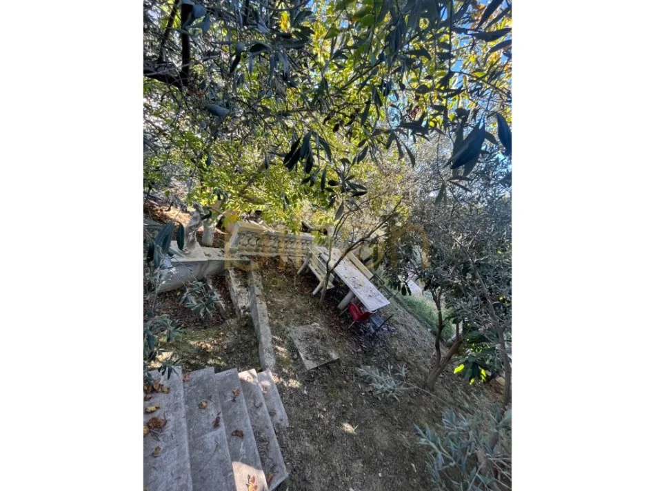 Tirane, shitet Vile 3 Katshe , 1.150 m² 872.000 € (Teg, Tirana, Albania)