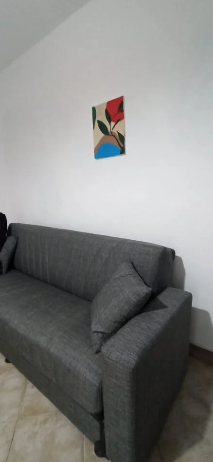 Tirane, jepet me qera apartament 1+1 Kati 0, 45 m² 450 € (Muhamet Gjollesha)