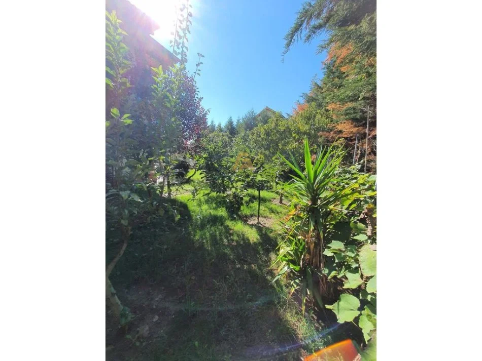 Tirane, shitet Vile 3 Katshe , 400 m² 350.000 € (Peze e Vogel)