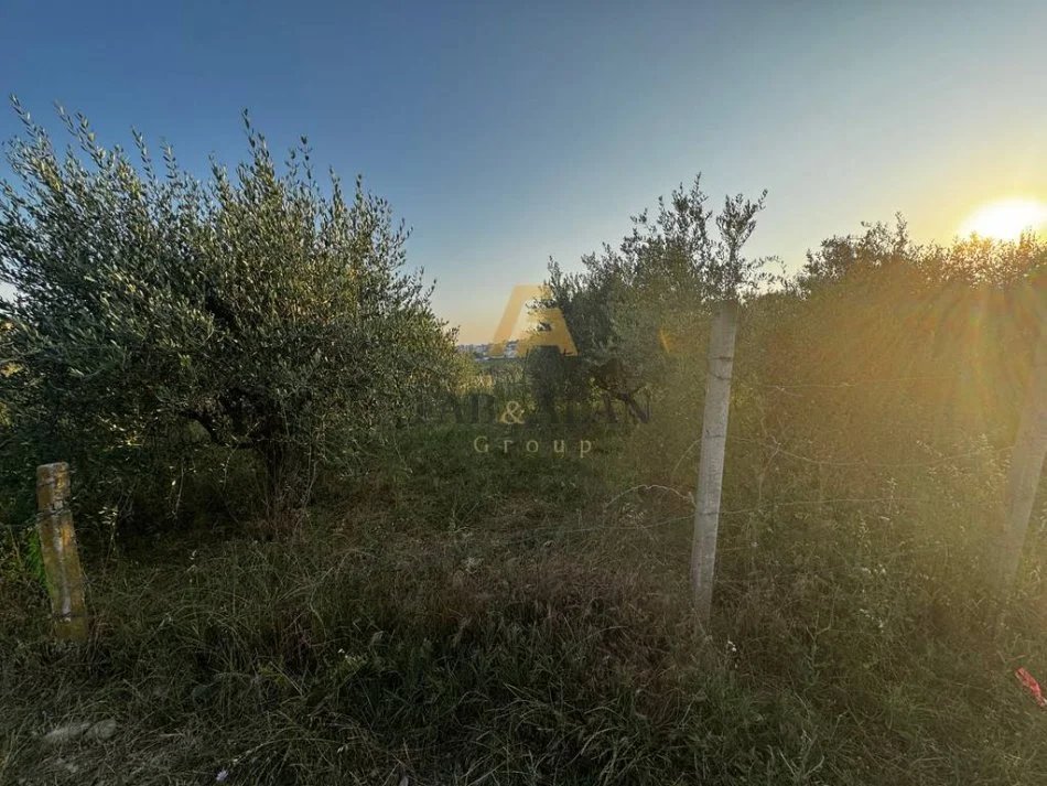 Tirane, shitet toke , 1.000 m² 110.000 € (BABRRU)