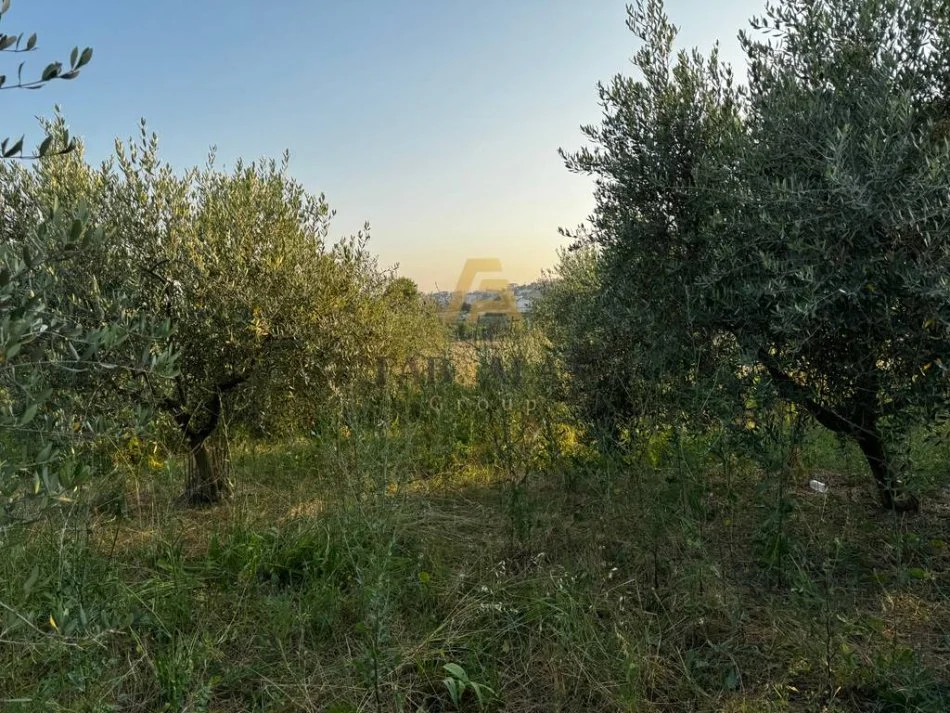 Tirane, shitet toke , 1.000 m² 110.000 € (BABRRU)