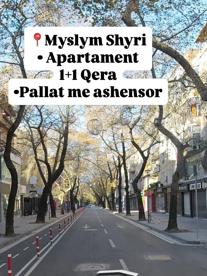 Tirane, jepet me qera apartament 1+1 Kati 4, 60 m² 650 € (Myslym Shyri)