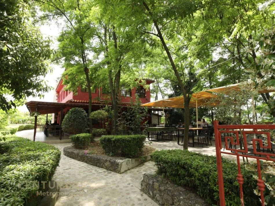 Tirane, shitet bar-resorant Kati 0, 800 m² 400.000 € (Peze e vogel)