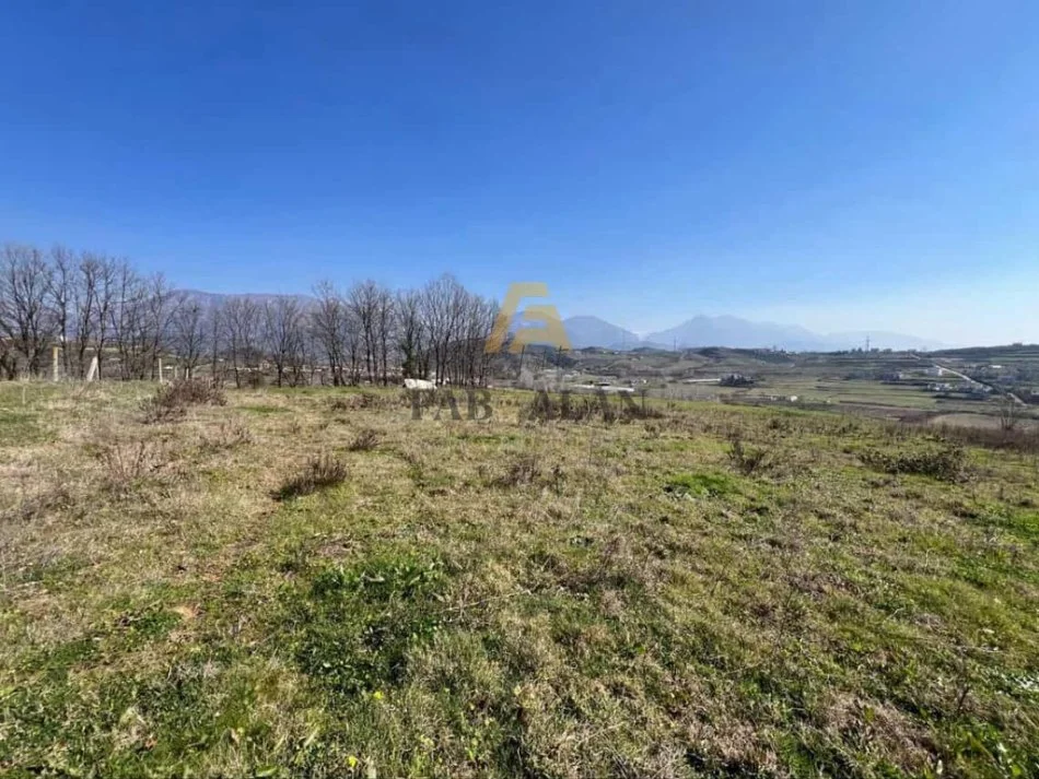 Tirane, shitet toke , 3.500 m² 140.000 € (Tapize)