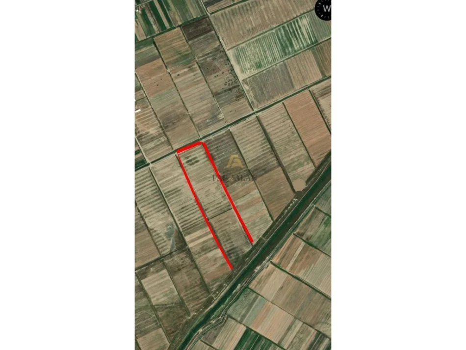 Divjake, shitet toke , 1.000.000 m² 6.000.000 € (Laguna e Karavastase)