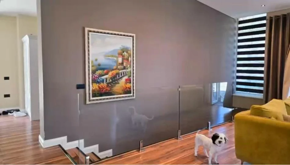 Tirane, shitet Vile 5+1+Aneks+Ballkon Kati 0, 1.100.000 € 