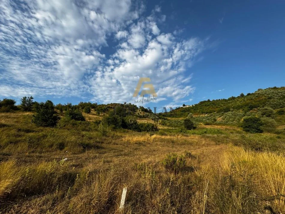 Tirane, shitet toke , 3.000 m² 130.000 € (Liqeni i Kasharit)