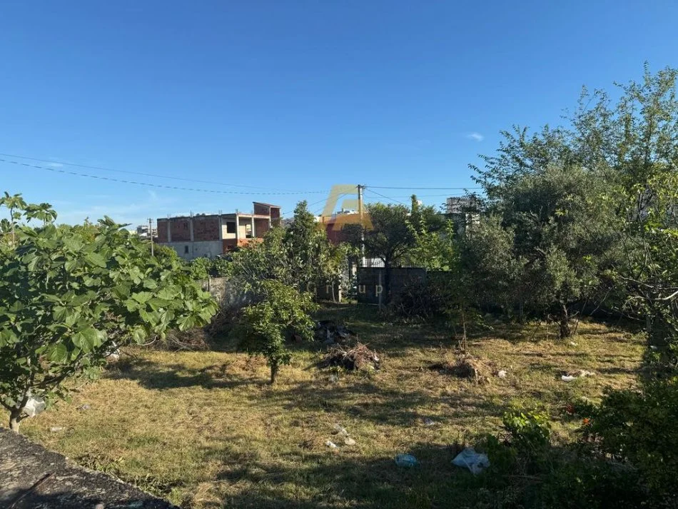 Durres, shitet truall , 778 m² 145.000 € (Shkozet Durres)