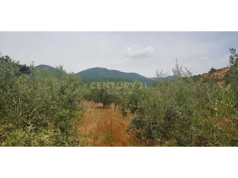 SHITET 2000M2 TOKE PEMTORE NE LINZE 150 RRENJE ULLINJ +100 RRENJE LAJTHI - 90.000 Euro!!