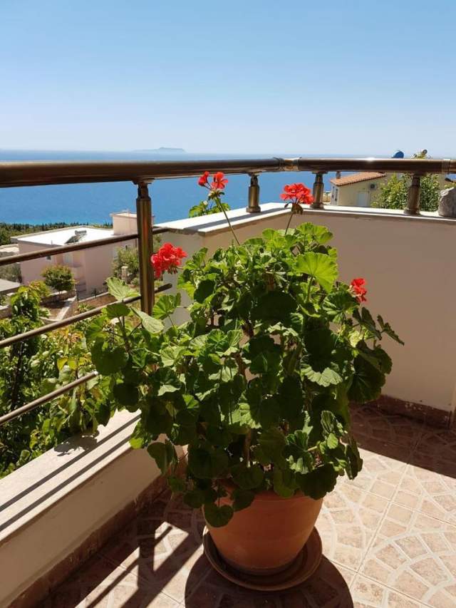 Dhermi, shitet Vile ne plazh 5+1+BLK Kati 2, 163 m² 350.000 Euro (Dhermi,Vlore)
