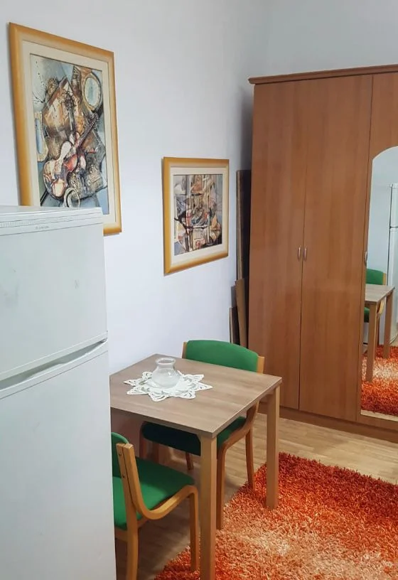 Tirane, jepet me qera garsonier Kati 2 ,320 € (Prane Klinikes Ortodokse)