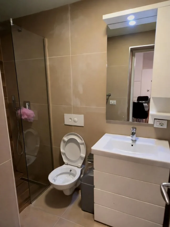 Tirane, jepet me qera apartament 1+1 Kati 0, 60 m² 550 € (Liqeni i thate)