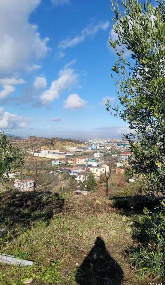 Tirane, shitet , 10.000 m² 