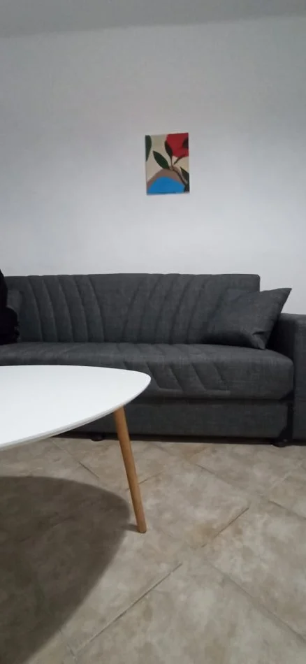 Tirane, jepet me qera apartament 1+1 Kati 0, 45 m² 450 € (Muhamet Gjollesha)