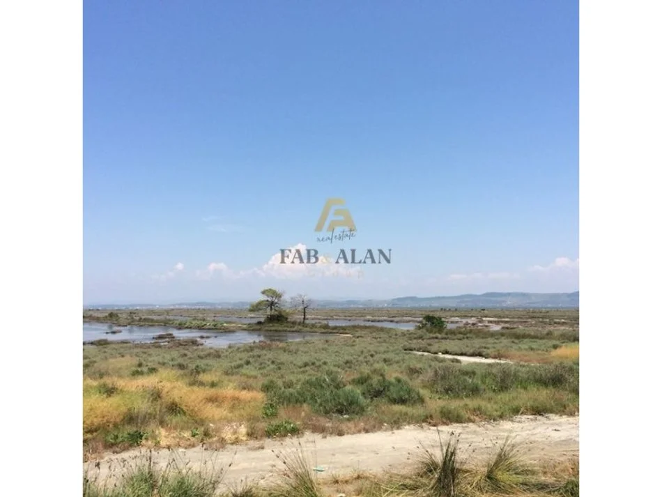 Divjake, shitet toke , 2.000.000 m² 10.000.000 € (Divjake)