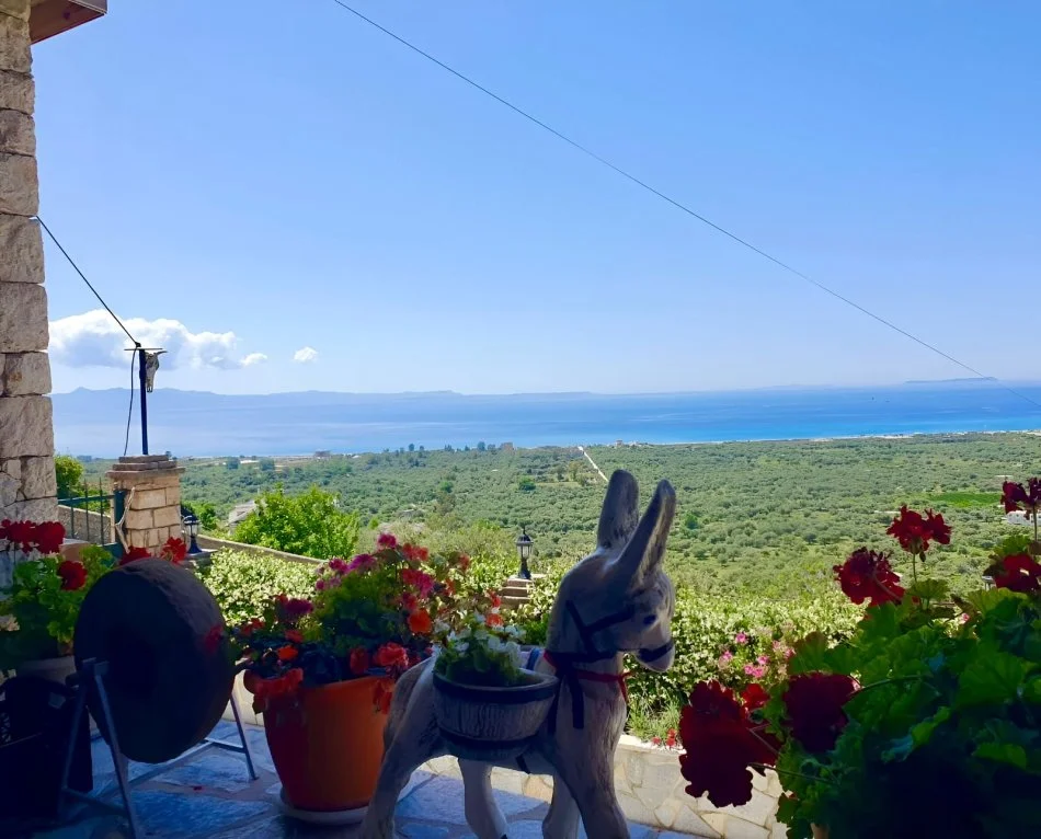 Tirane, shitet VILE  3+1+Aneks+Ballkon Kati 1, 342 m² 300.000 € (BORSH)