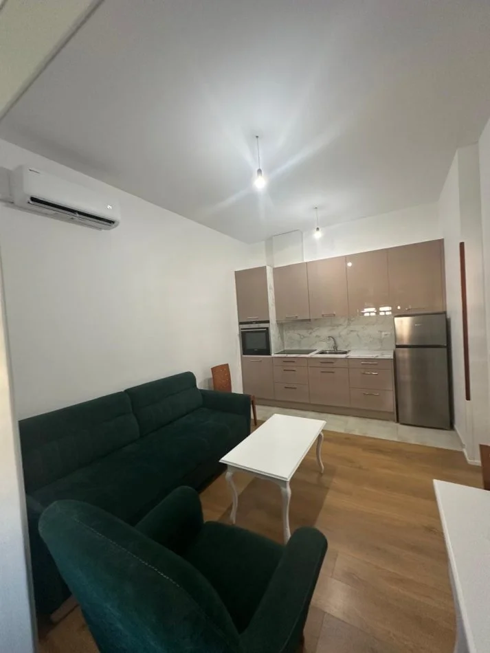 Tirane, jepet me qera apartament 1+1 Kati 2, 300 € 