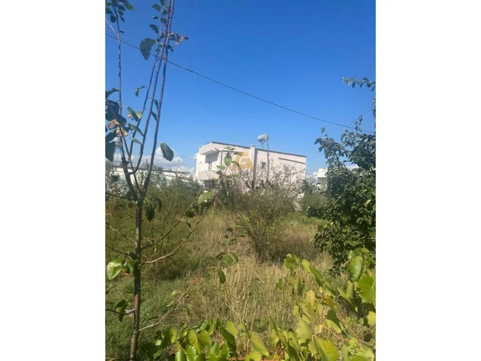 Tirane, shitet toke , 990 m² 175.000 € (Kamez)