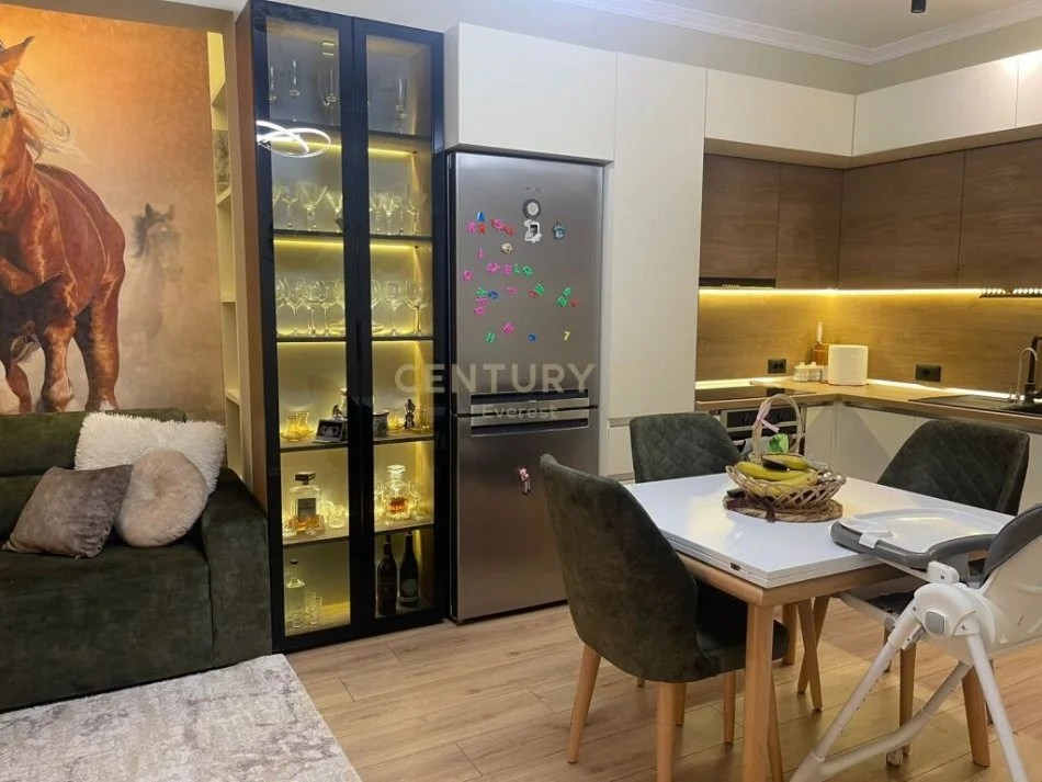 KODRA E DIELLIT, JAPIM APARTAMENT 1+1 PER QIRA!, 500euro