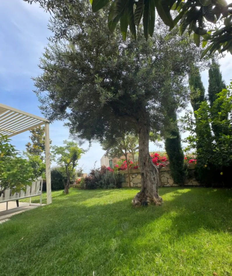 Dhermi - Palase, shitet apartament 2+1+Ballkon Kati 1, 81 m² 699.000 € (Dhermi, PALASE)