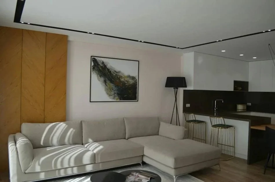 Tirane, jepet me qera apartament 2+1+Aneks Kati 5, 1 m² 1.500 € (liqeni artificial)