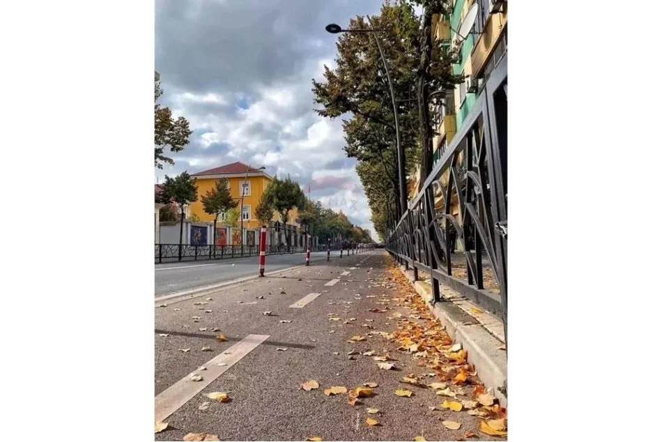 Tirane, jepet me qera ambjent biznesi Kati 0, 50 m² 700 € (Rruga Fortuzi)