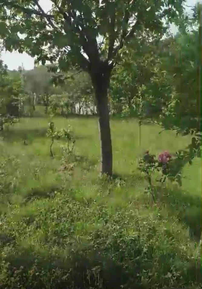 Tirane, shitet toke bujqesore , 1.400 m² (Ibe)