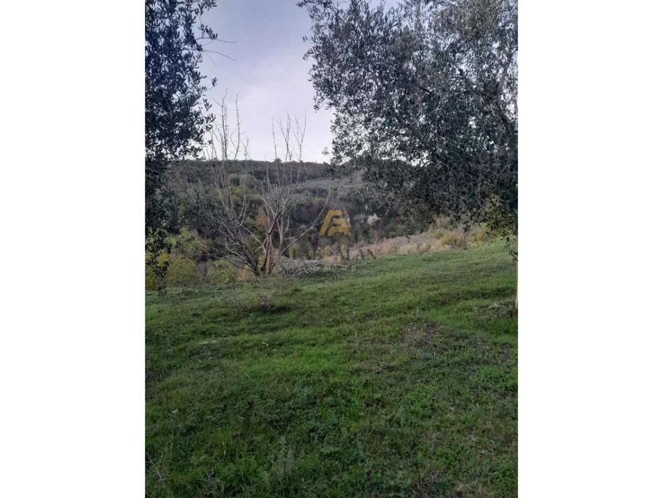 Tirane, shitet toke , 3.000 m² 260.000 € (Gurre e Madhe)