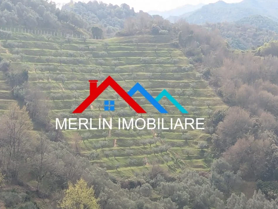 Tirane, shitet toke , 70.000 m² 1.050.000 € (VORE)